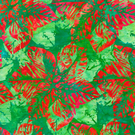 Large Poinsettias Double Tjap - Garden