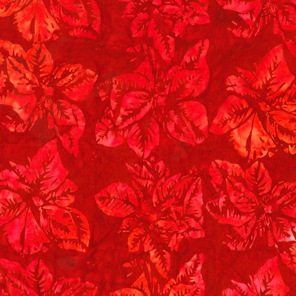 Medium Poinsettias - Ruby