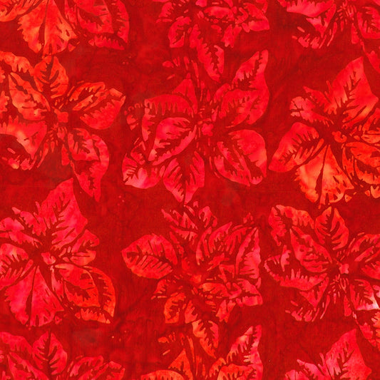 Medium Poinsettias - Ruby