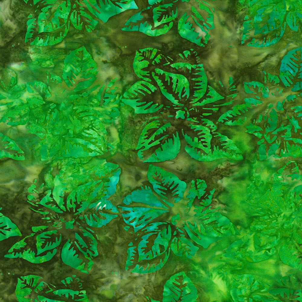 Medium Poinsettias - Green
