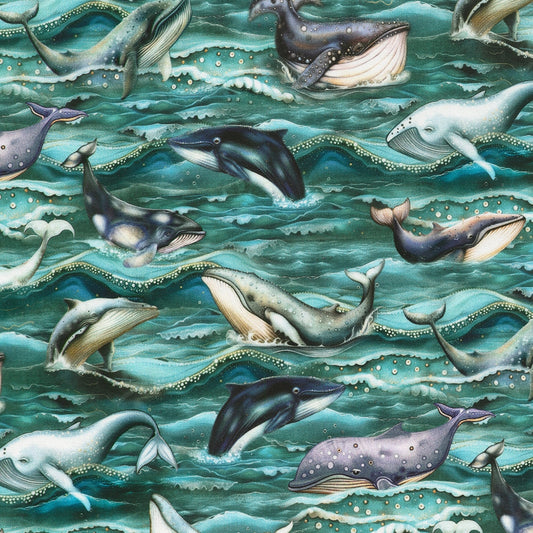Whales Waves Ocean - Lagoon