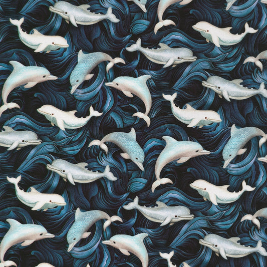 Dolphin - Midnight