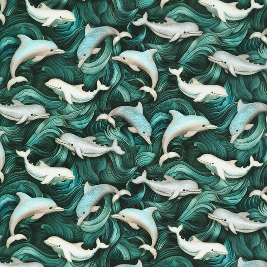 Dolphin - Lagoon