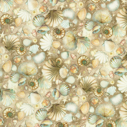 Shells - Shell