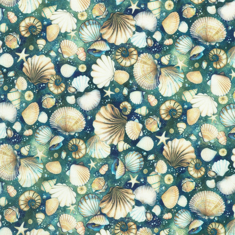 Shells - Tidepool