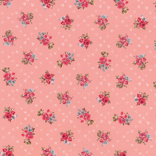 Roses - Carnation