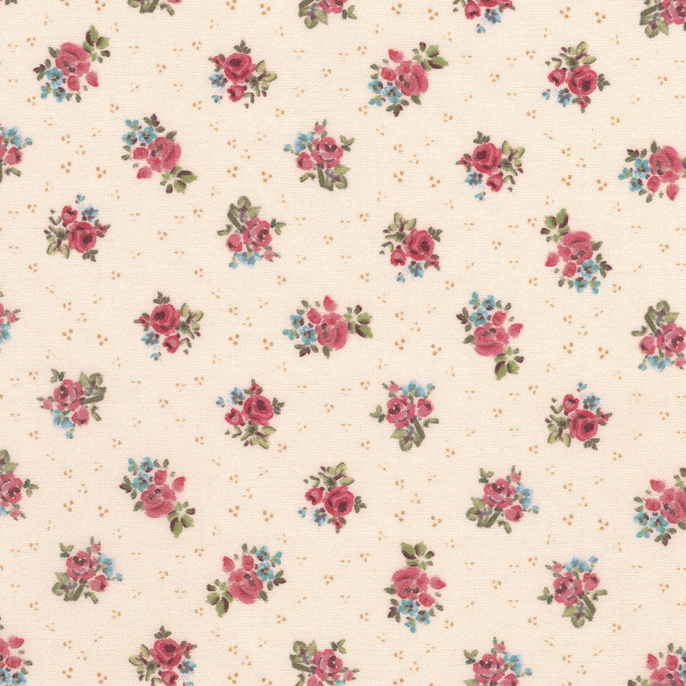 Roses - Cream