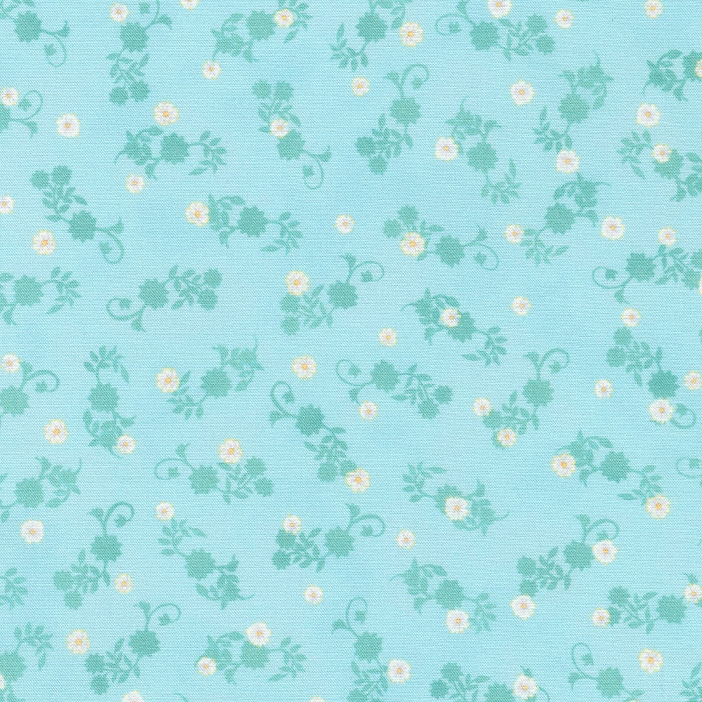 Daisies - Breeze
