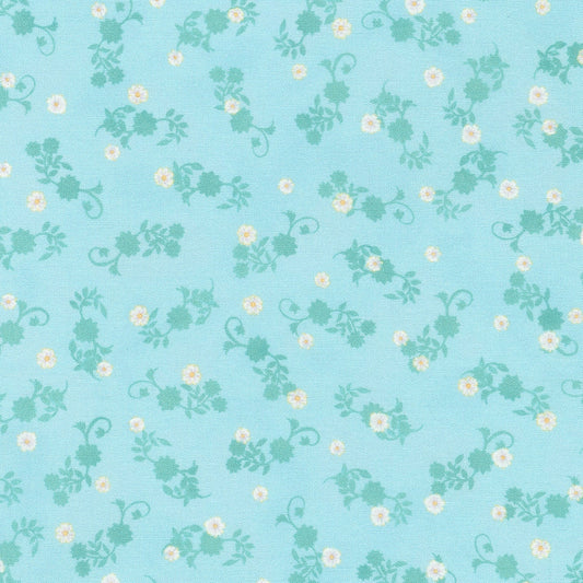 Daisies - Breeze