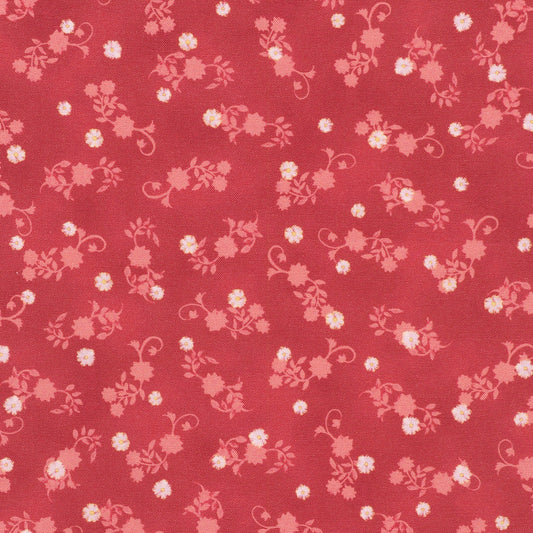 Daisies - Rose