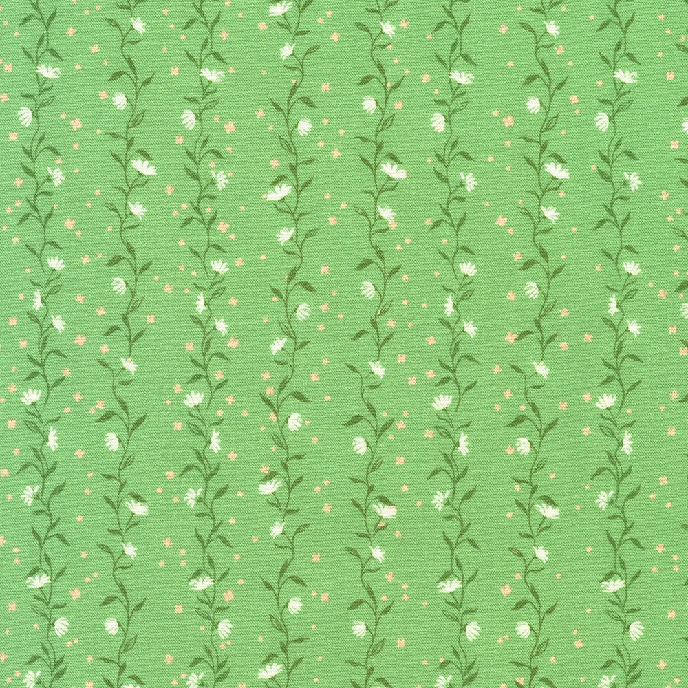 Vines - Sage