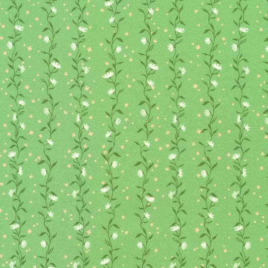 Vines - Sage