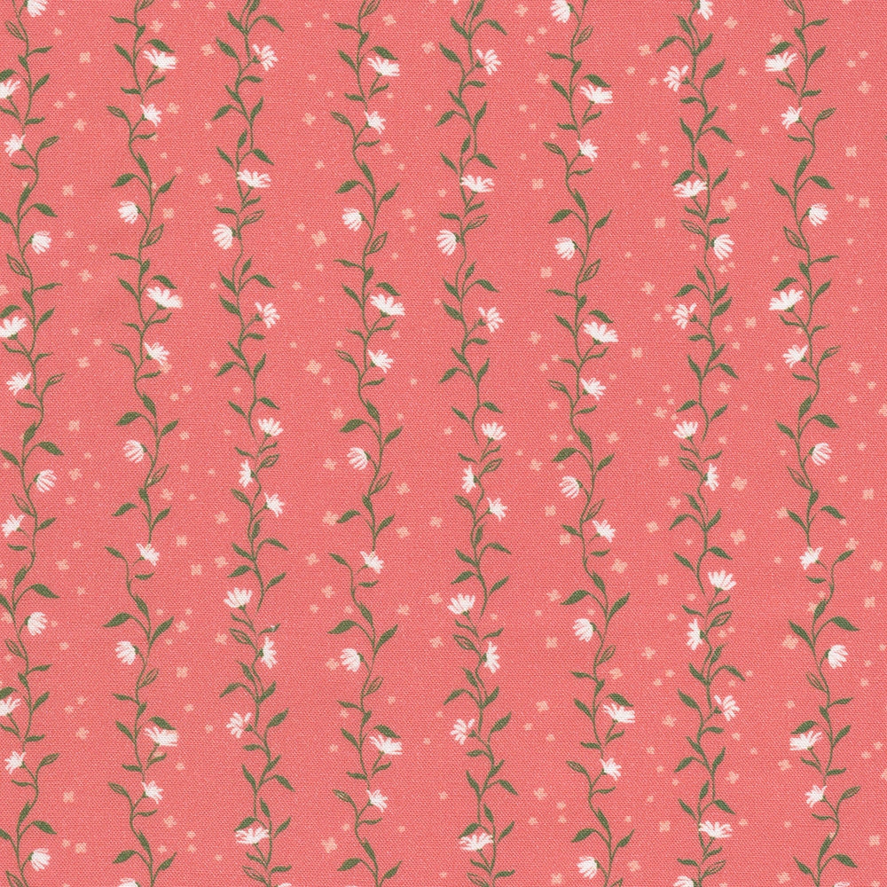 Vines - Woodrose