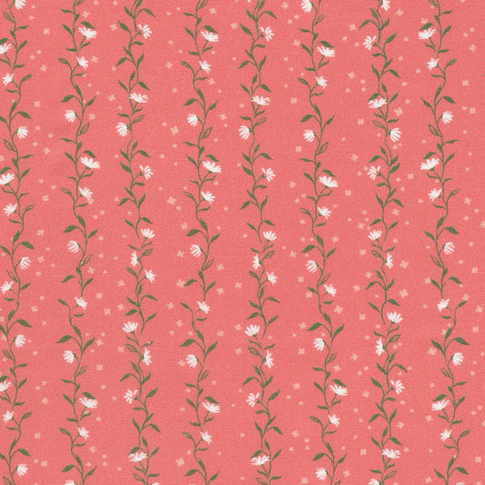 Vines - Woodrose