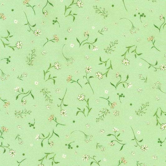 Wildflowers - Sweet Pea