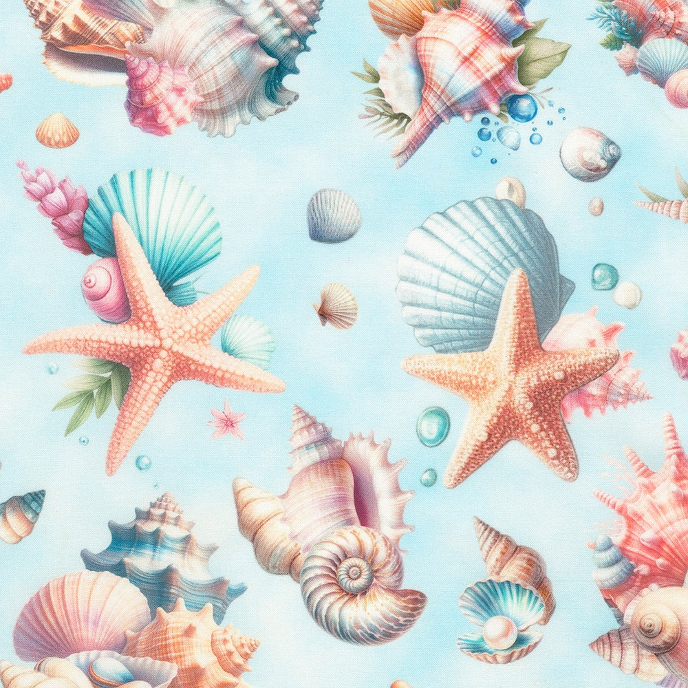 Shells - Ocean