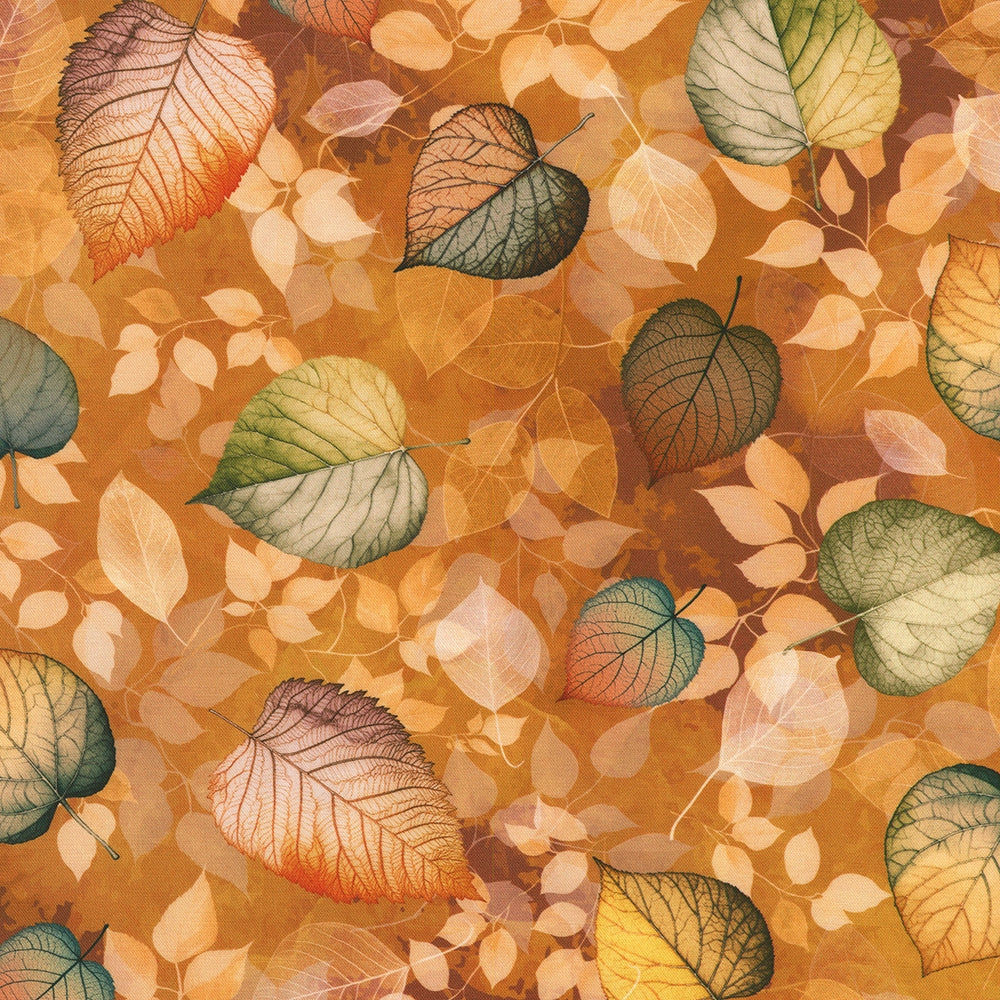 Oak Leaves - Honey
