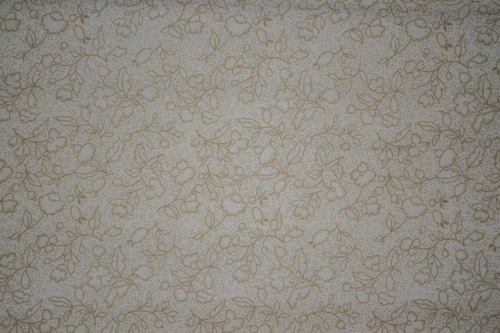 SSF21677T-T