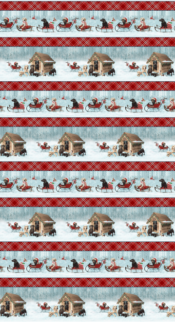 Border Stripe