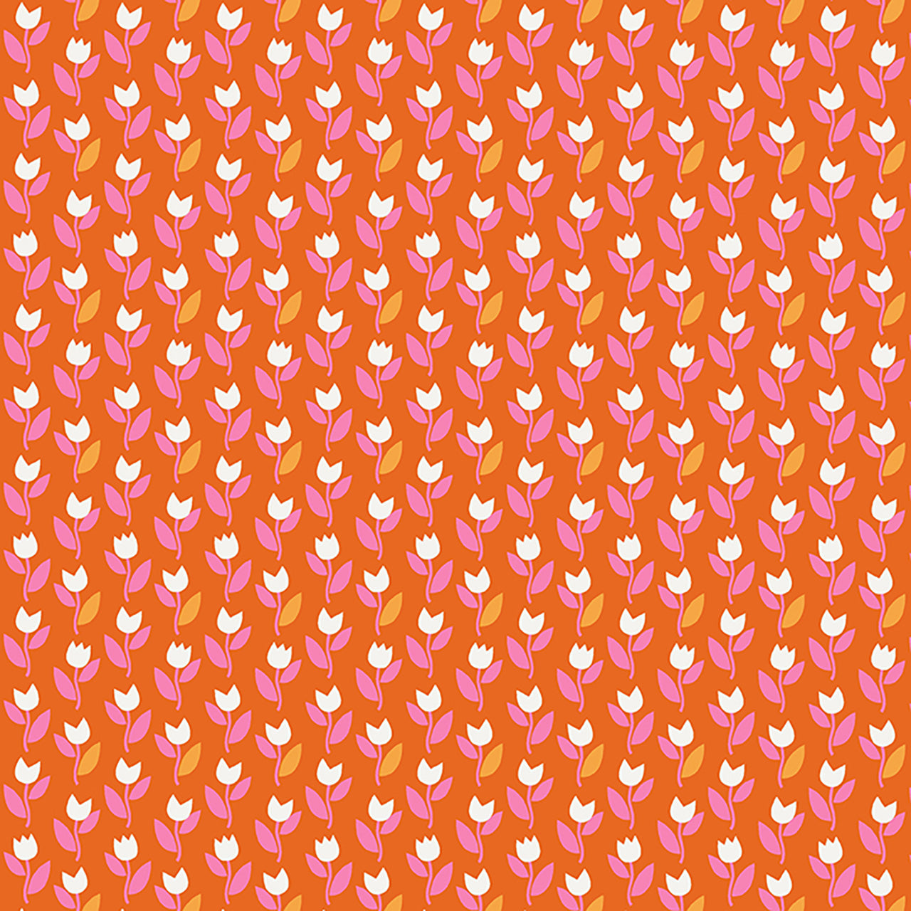 Tulips- Flame
