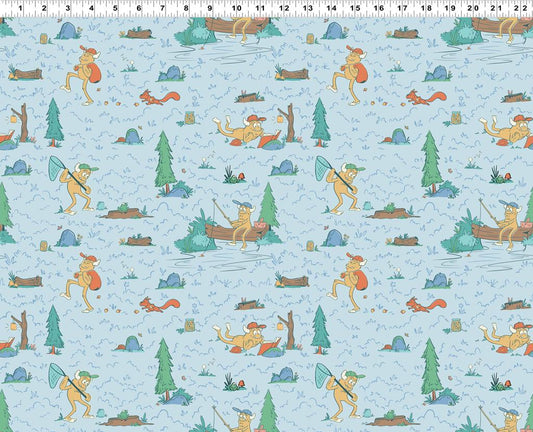 Toile